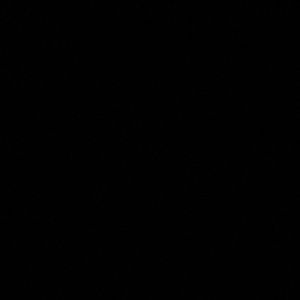 Meet your Posher, Noah